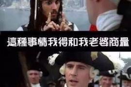 关于征信催收话术：高效沟通的艺术