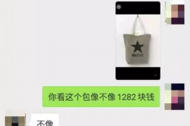 催收不良贷款的办法：有效策略与案例分析